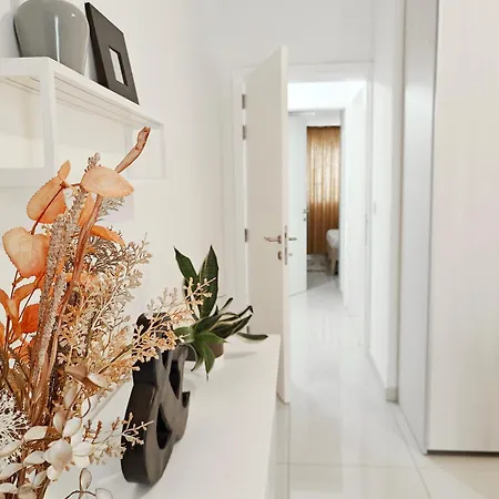 Summer Nights マルサスカーラ