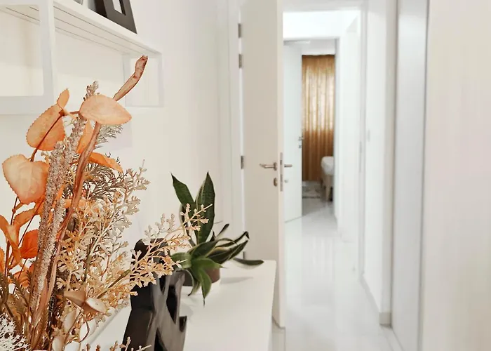 Summer Nights Марсаскала